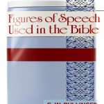 Christian Language Kindle Rare Treasure eBook-0