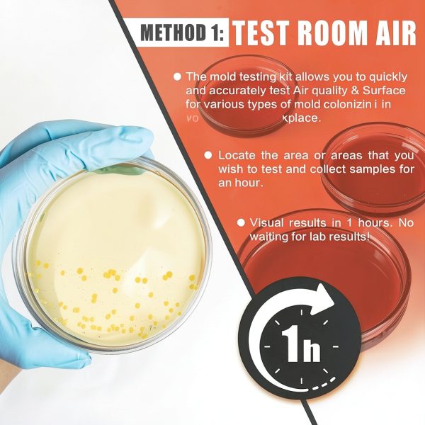 Mold Testing Kit Revanak Home Air Quality 5-Location DIY Detector-1